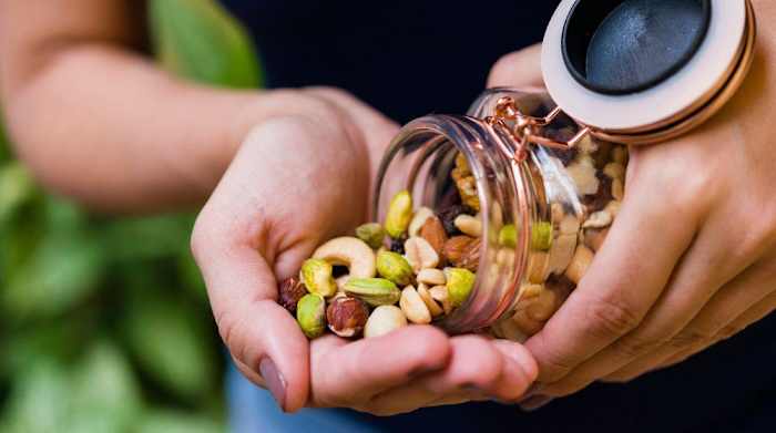 High Protein Snacks_hero